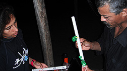 TempLoggers